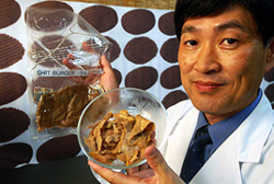 Un chercheur japonais crée de la viande à partir d'excréments humains Le professeur Ikeda propose une viande plus diététique à base d'excréments humains