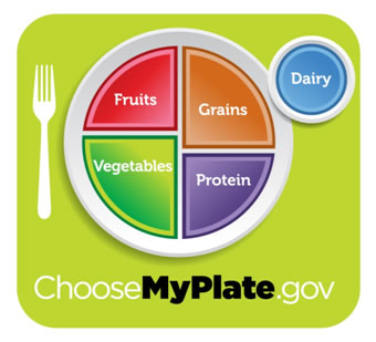 Choose my plate Exemple d'une bonne composition d'assiette