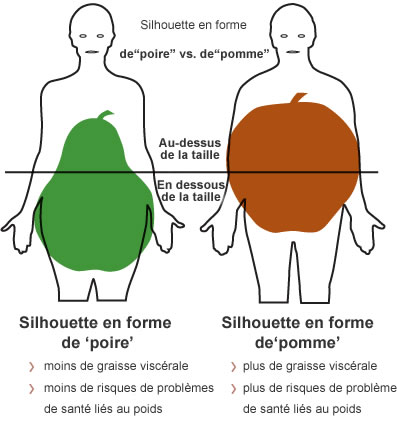 Comment détecter les graisses viscérales ?