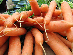 carottes carottes